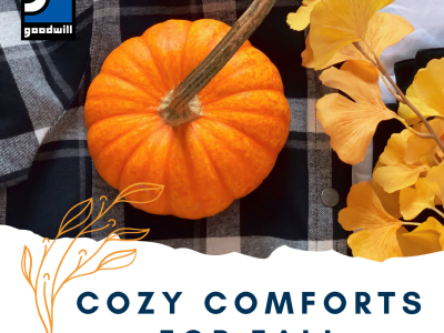 Cozy Comforts for Fall